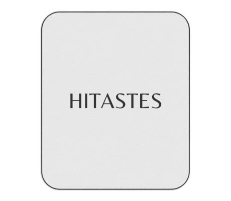 HITASTES PICNIC BLANKET